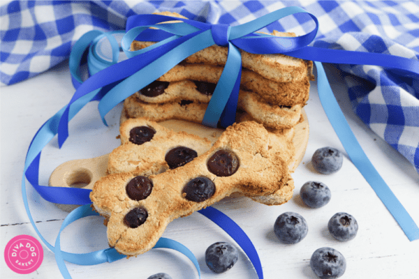 How to start a home dog treats bakery in 3 easy steps free workshop