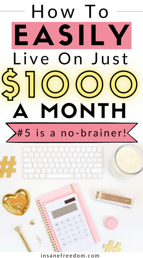 Do you have a low income and want to save as much money as possible? Here are 6 effective tips to show you how you can live on just $1000 a month effortlessly!