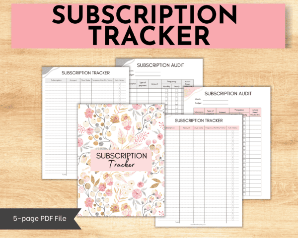 Monthly subscription audit and budget tracker printable