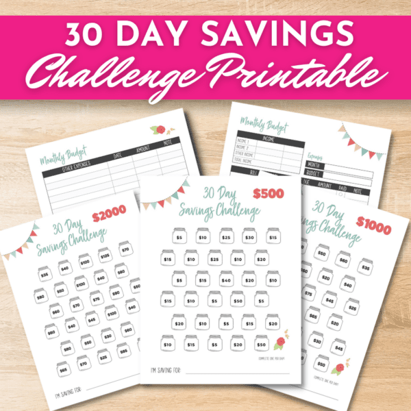 30 Day Savings Challenge Printable