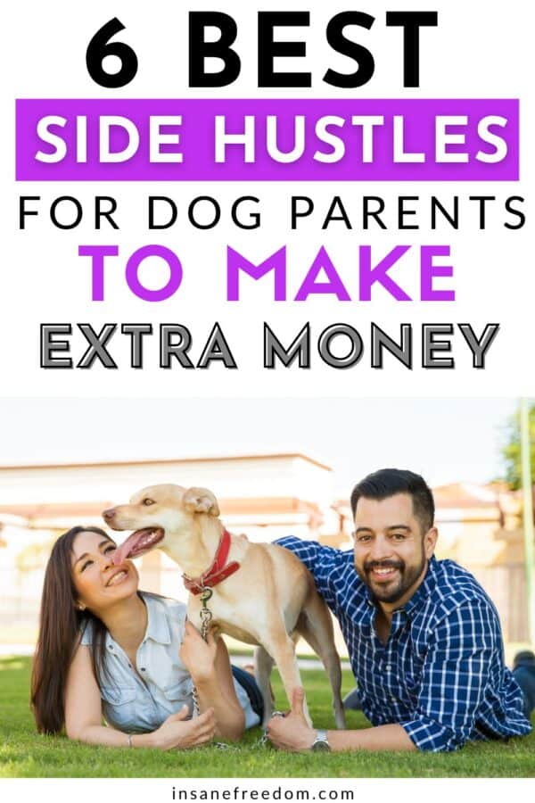 The best side hustles for dog parents and dog people